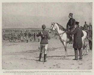The Duke of Cambridge in Egypt, Review of the Cairo Garrison by the Khedive